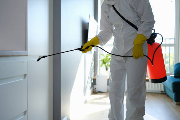 Best Professional Mold Removal  in Tavares, FL